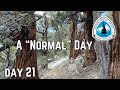 Day 21 a normal day of reaching goals hearing sirens and donkeys pacific crest trail thru hike