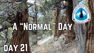 Day 21| A Normal Day of Reaching Goals, Hearing Sirens and Donkeys| Pacific Crest Trail Thru Hike