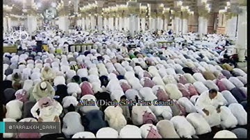 صلاة التهجد من المسجد النبوي ليلة 27 رمضان 1437 الشيخ محمد خليل قارئ الشيخ صلاح البدير