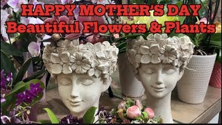 HAPPY MOTHER’S DAY 2024 | Beautiful Flowers & Plants | Gift Choices for All the Moms