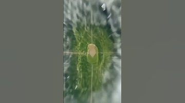 Earth Zoom Effect Tutorial #editingtutorial #editingvideo