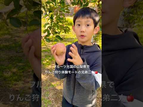 【見晴らし園】⑩フルーツ大国の山梨県のリンゴってホントに美味しいのかな？？？ 山梨県笛吹市✨ #ninjya #shorts #トレーシー #スティーブ #りんご狩り #リンゴ狩り #見晴らし園