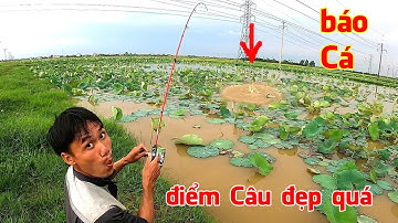Đi câu cá Lóc đồng, phát hiện điểm Câu quá đẹp