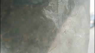 suara penjual tape 2023