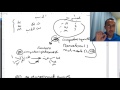 OOP حجر ورقة مقص C# 2