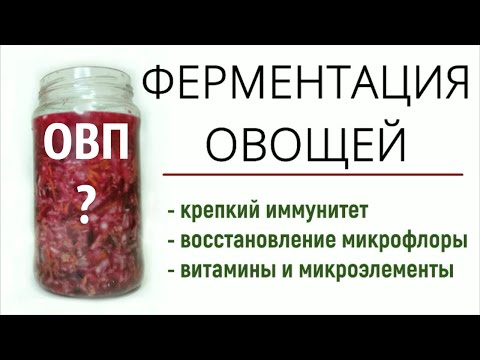 ПОЛЬЗА ФЕРМЕНТИРОВАННЫХ ОВОЩЕЙ + РЕЦЕПТ