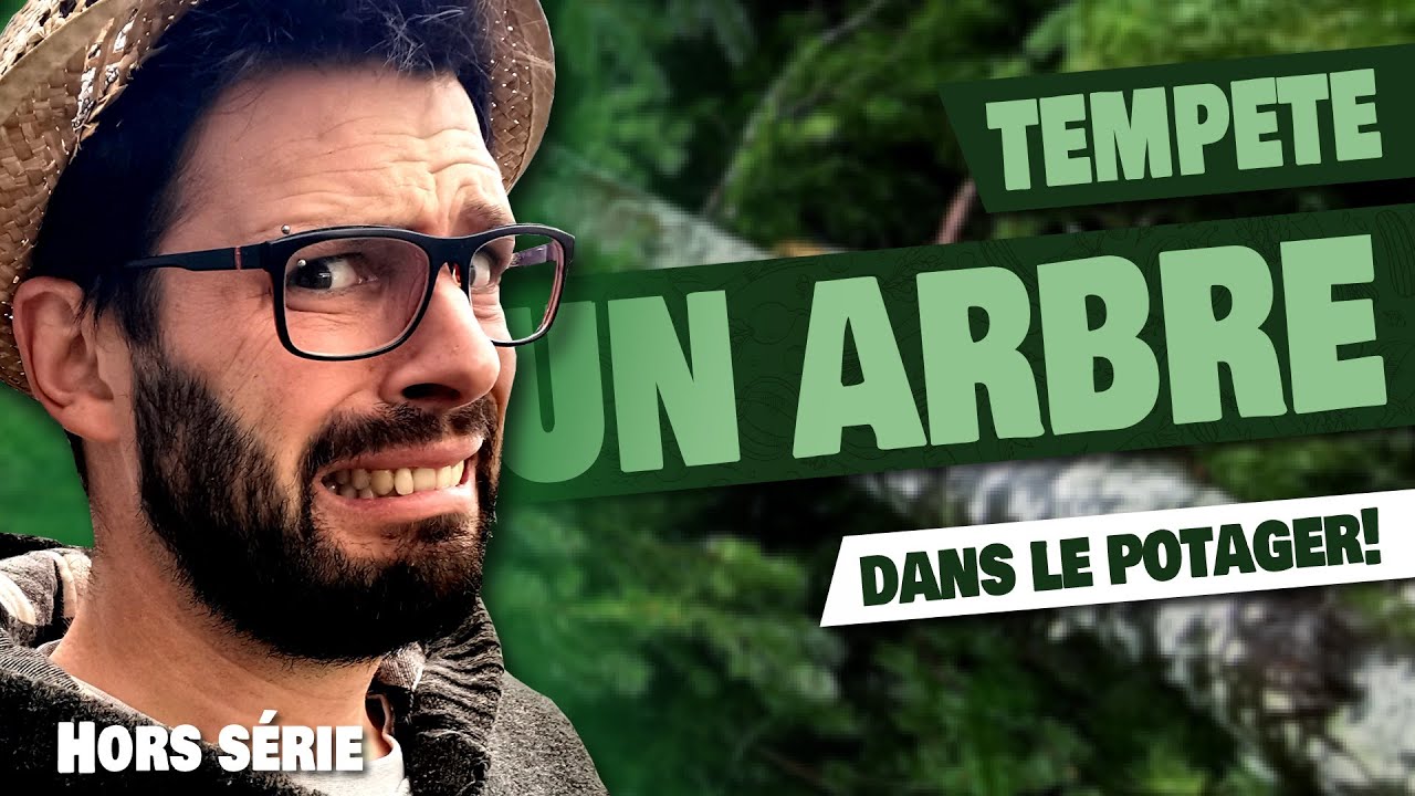 Un ARBRE de 14m dans LE POTAGER! - Tempête bretonne