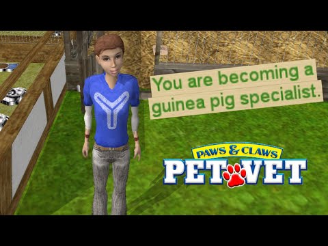 Becoming a Guinea Pig Specialist [Paws & Claws Pet Vet]