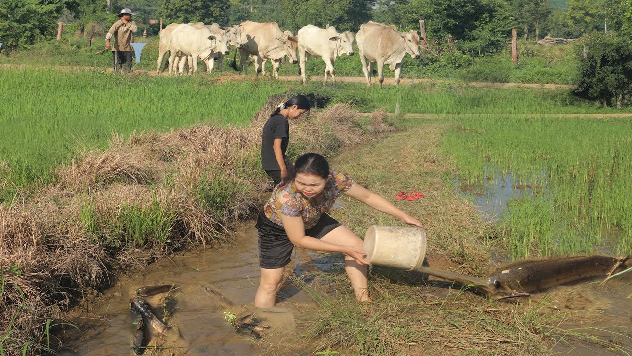 Girl catch fish by hand in muddy water