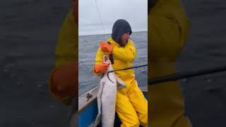 sea creature catch from the sea 58 #fishing #shorts #shortfeed #shortviral35 #shortvideo #subscribe