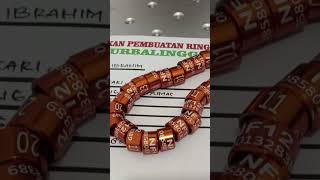 Ring Peternak Biar Dapet Bonus merpati merpatikolong merpatikolongmeja pmti ring ajibarang
