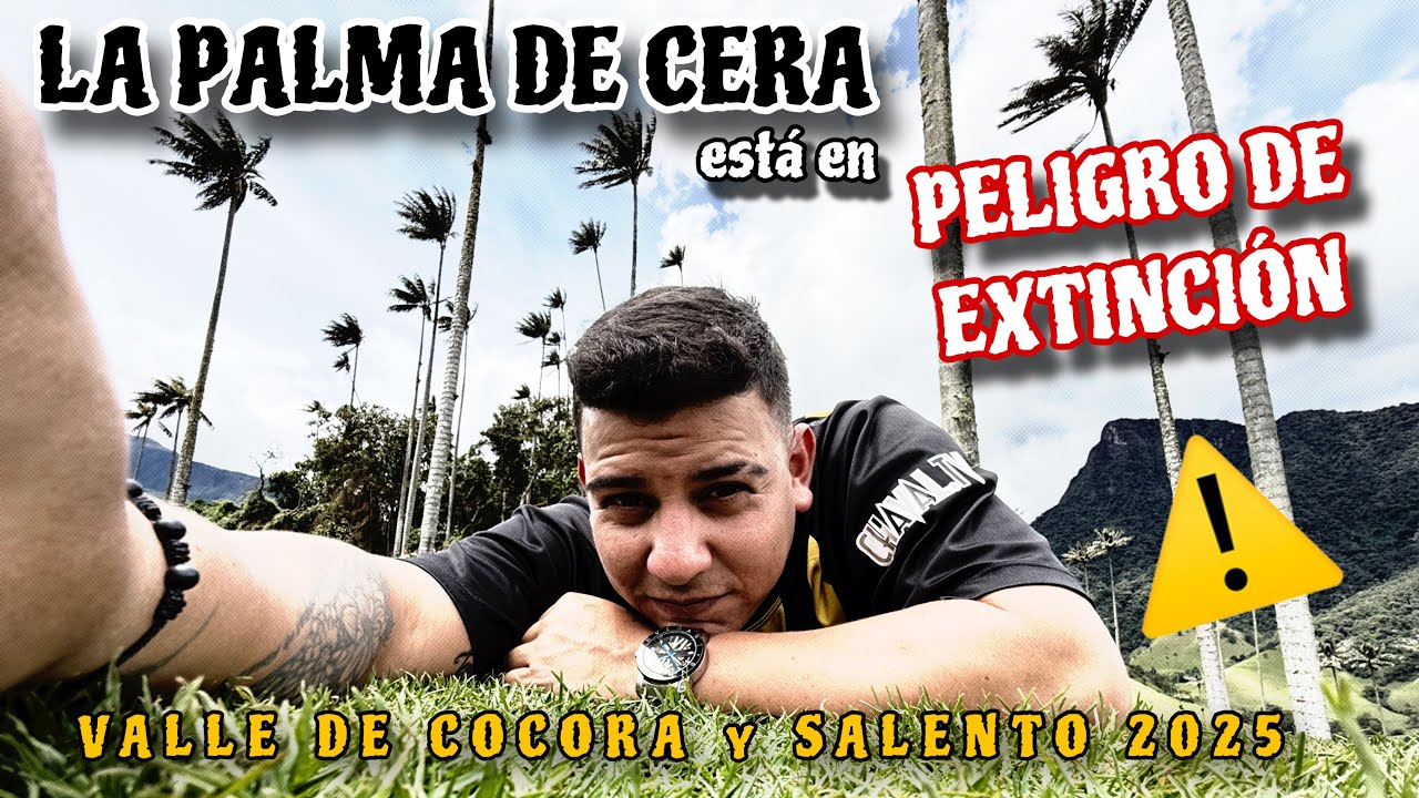 Salento y el Valle de Cocora en 2025