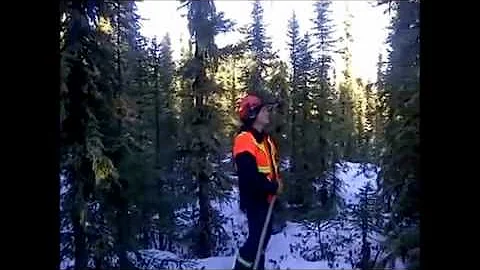 Стон Земли. Жутко!