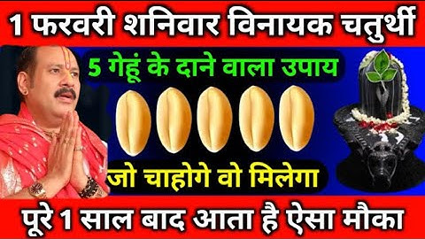1 फरवरी शनिवार विनायक चतुर्थी को जरूर करें || Pradeep Ji Mishra5 गेहूं के दाने वाला उपाय