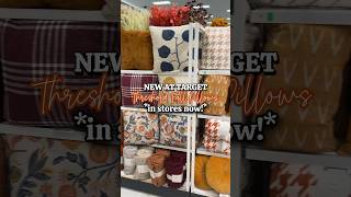 THE BEST FALL PILLOWS AT TARGET 🎯😍🍂 Target Fall Decor Finds #target #falldecor #fall