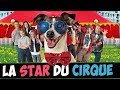 La star du cirque  film complet en franais chien comdie