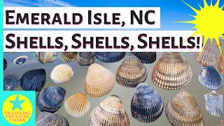 Emerald Isle, North Carolina Shelling | Great shelling in southern Outer Banks!