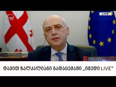 საგარეო საქმეთა მინისტრი დავით ზალკალიანი გადაცემაში „იმედი LIVE“