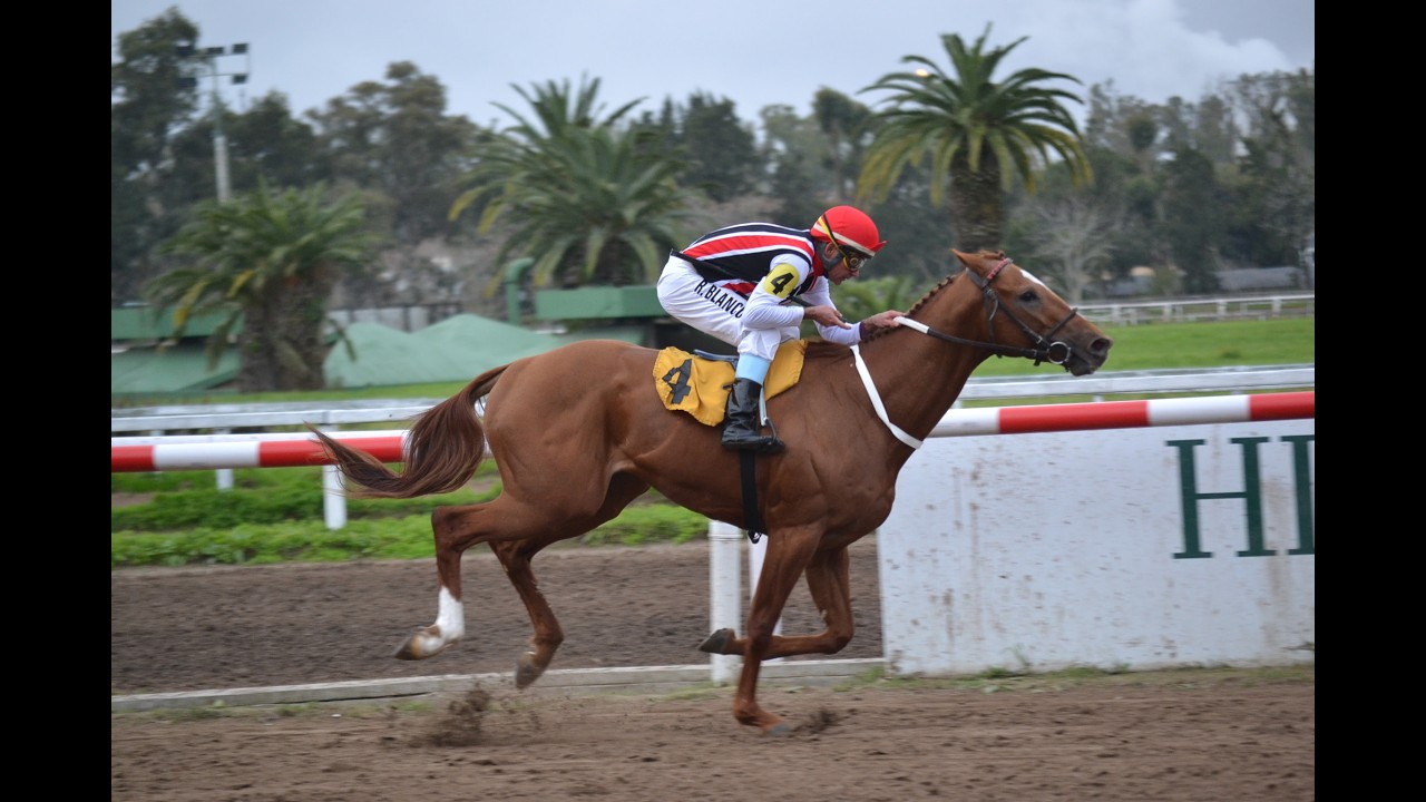 Don Zahir se lució en el Especial Haras Vadarkblar