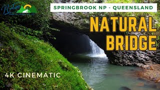 Natural Bridge 🌊 4K Cinematic Waterfall Walk🌴Beautiful & Beastly 💦Springbrook NP 🌱 Queensland