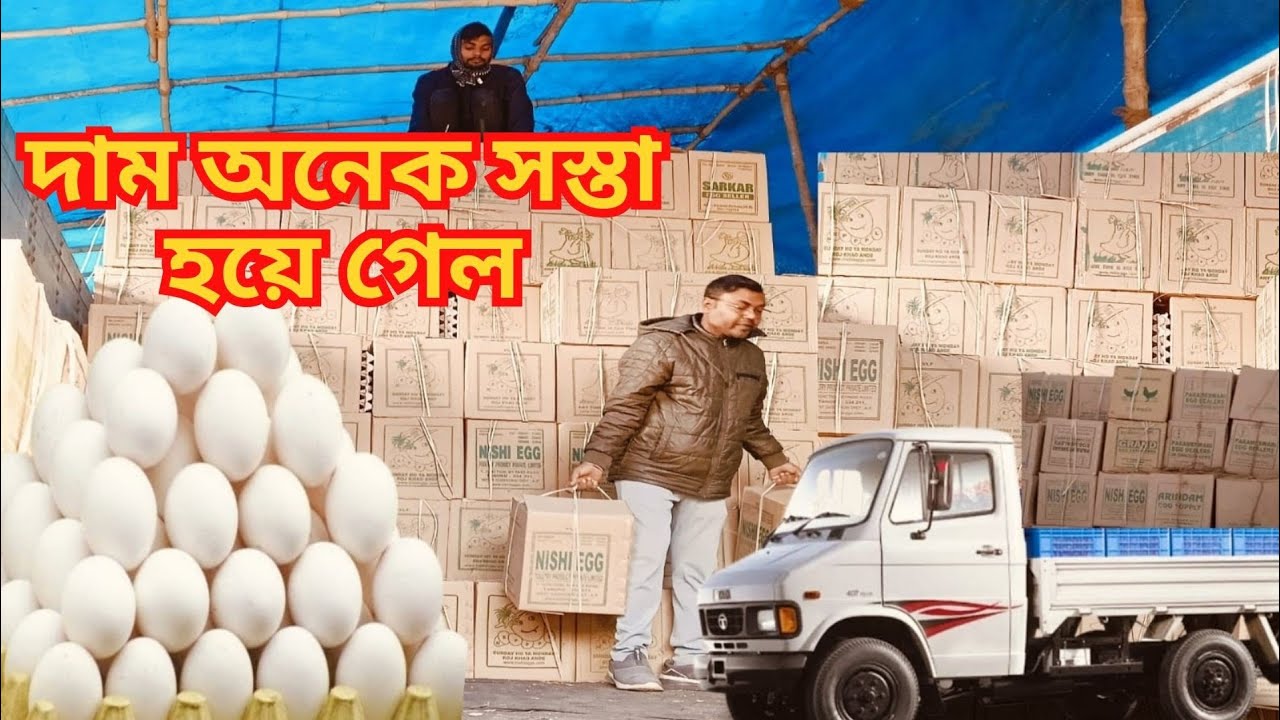 ডিমের পাইকারি বাজার | Egg Wholesale Market in Kolkata | Dim Wholesale Business | Egg rate today |