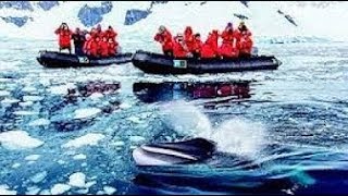 Visit Antarctica With Expedition Voyages - Flat Earth science