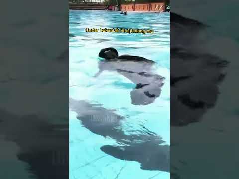 Masya Allah Ukhti Bercadar tetap bisa Berenang #shorts #masyaallah #ukhti #berenang #olahraga #viral