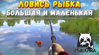 МАРАФОН ПО ВОДОЕМАМ!! ФАРМ, ПРОКАЧКА ДОННОЙ ЛОВЛИ)  «Русская рыбалка 4»