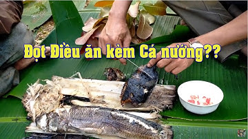 Xả Ao Bắt Cá làm Cá Lóc nướng Bẹ chuối ăn kèm đọt Điều cực phẩm Tây Nguyên - Nguyen Vlog