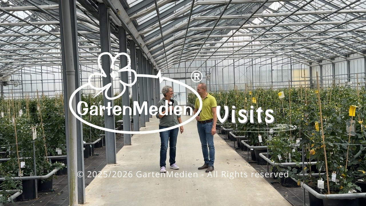 GartenMedien Visits - Rosen Tantau - Seltene Einblicke in ein Kreuzungshaus der Rosenzucht 2025