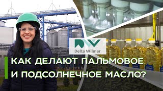 Производство растительных масел: как это сделано | Дельта Вилмар Украина | Latifundist