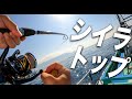 【伊豆海釣り】トップウォーターでシイラGET🐠#003 の動画、YouTube動画。