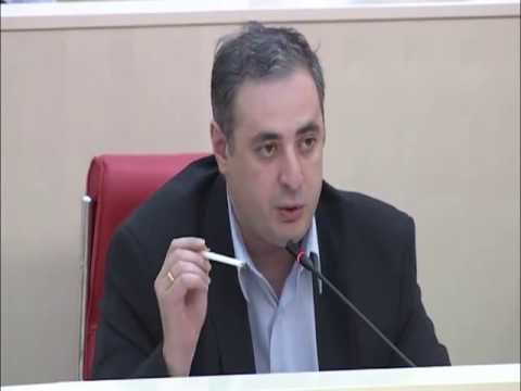 განცხადებები პარლამენტის პლენარულ სხდომაზე