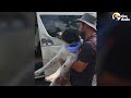 Starving Skeleton Dog Still Ran To Every Person She Met | The Dodo