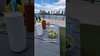 NYC dog walks episode 4: new wave pier