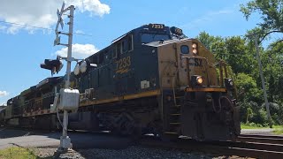 Long CSX manifest train flies by at Canaseraga rd