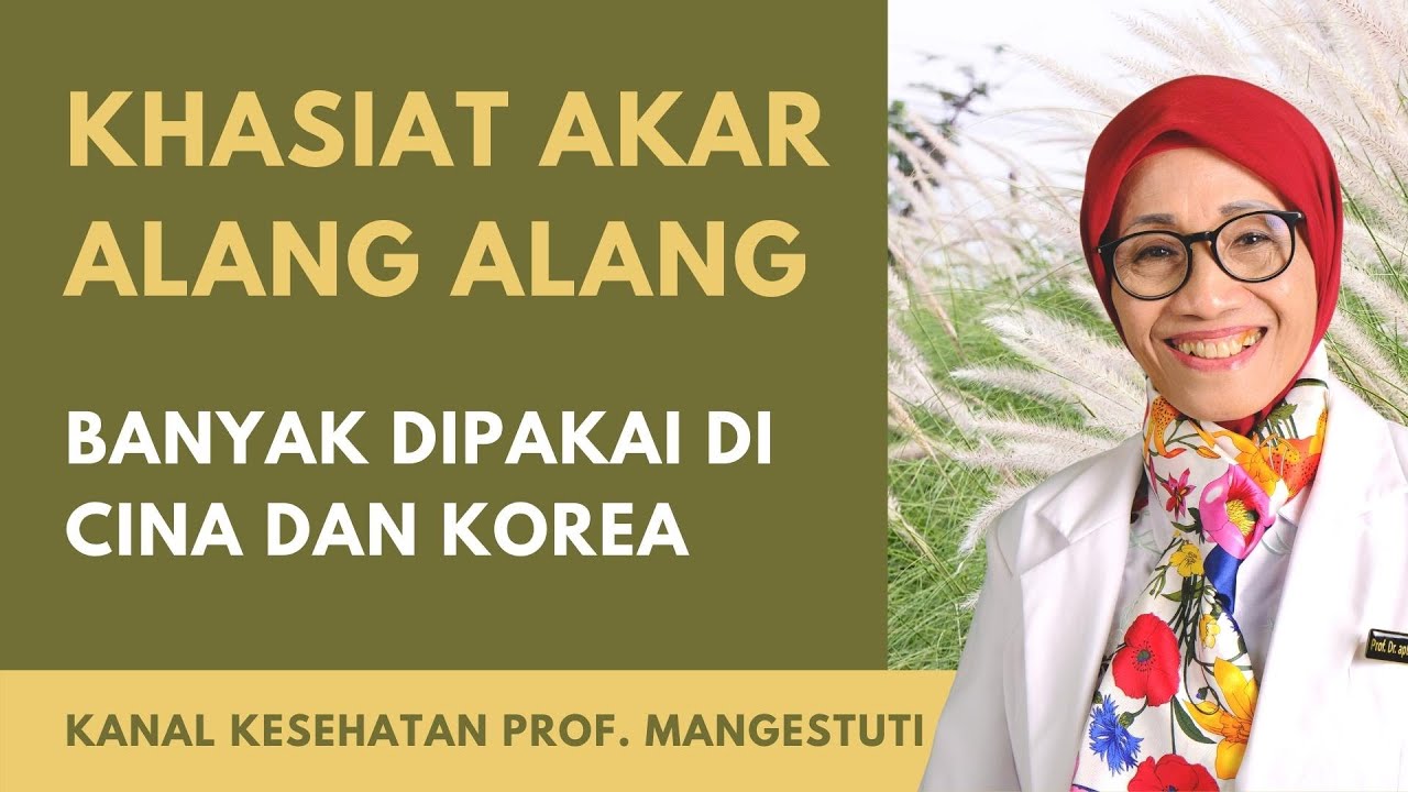 Khasiat Akar Alang Alang 