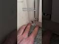 PROVO a PRENDERE un RAGNO a MANI NUDE!