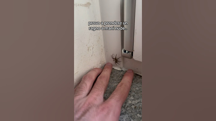 PROVO a PRENDERE un RAGNO a MANI NUDE!