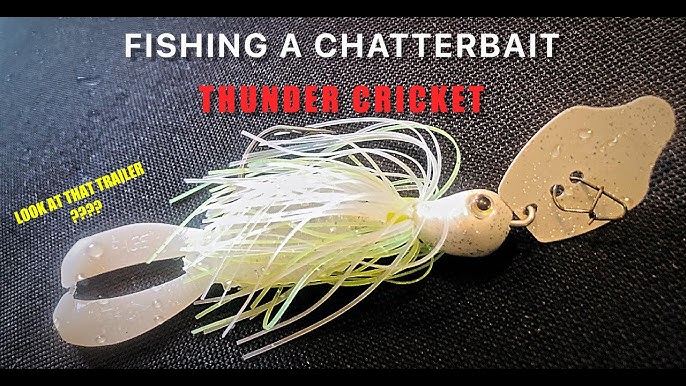 How to Fish a Chatterbait in the Fall  