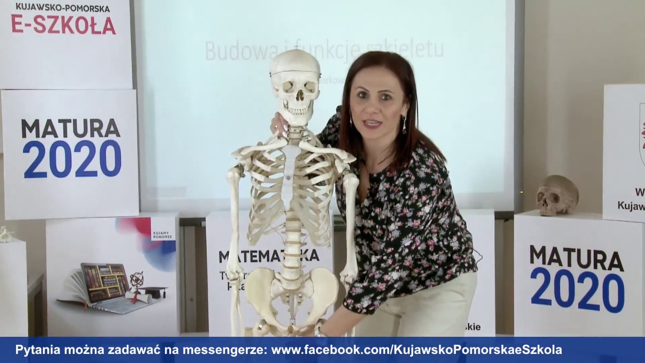 Sprawdzian Biologia Nowa Era Budowa Szkieletu Biologia - klasa 2 LO. Budowa i funkcje szkieletu - YouTube