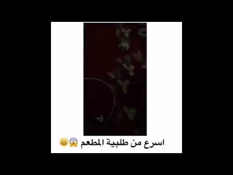 زواج المسيار عند السوونا اضرب وأهرب