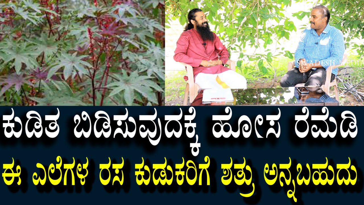ಕುಡಿತ ಬಿಡಿಸುವುದಕ್ಕೆ ಹೊಸ ರೆಮೆಡಿ|ಈ ರಸವನ್ನು ಮೂಗಿಗೆ ಬಿಟ್ಟರೆ ಕುಡುಕರಿಗೆ ಏನಾಗುತ್ತೆ? | New Remedy for Drunk