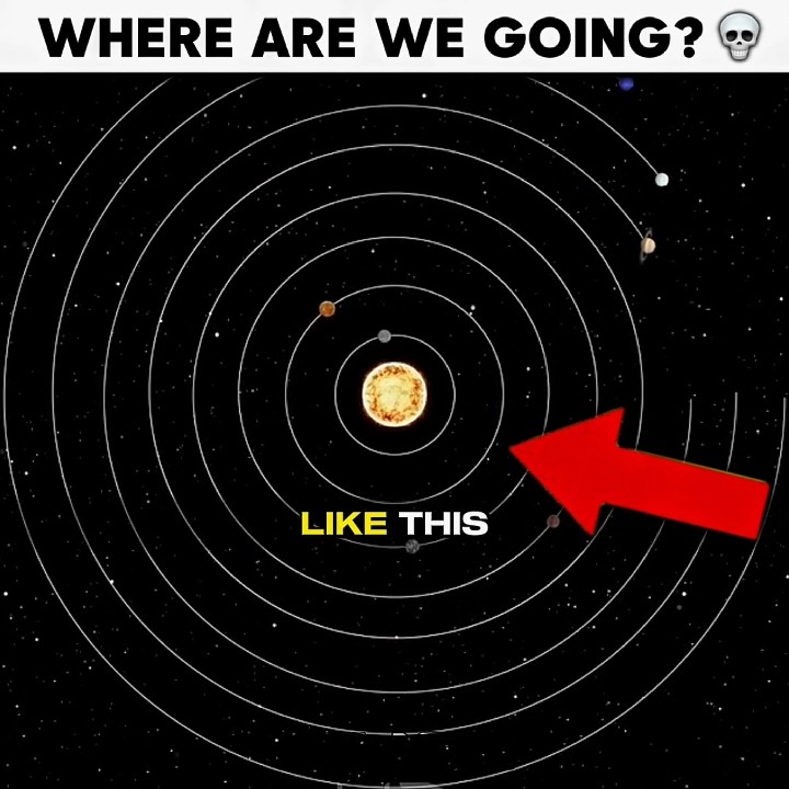 WHERE ARE WE GOING? ☠️ #space
