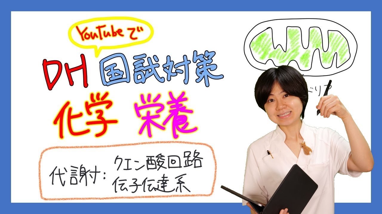 【化学、栄養】DH国試対策【2022年 No.16】【代謝、クエン酸回路、電子伝達系】