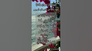 سورة آل عمران الآية ١١٣