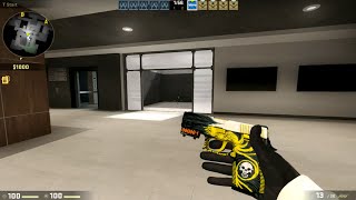StatTrak™ P250 | Wingshot Factory New - CS:GO Skin Showcase