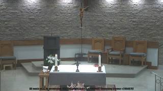Holy Mass - Monday of the Fifteenth Week in Ordinary Time (07/13/26; 08:00 am)