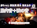 【赤ちゃん 寝る 泣き止む】夜泣き、寝かしつけ用BGM「胎内音8時間+波の音」