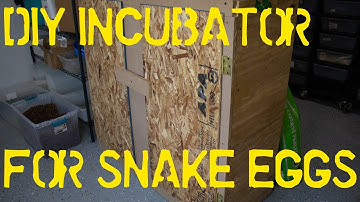 DIY Incubator For Ball Pythons!